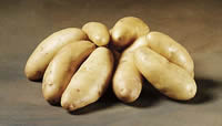 nye kartofler